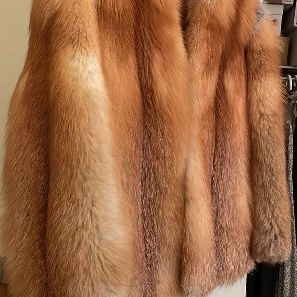 Red Fox - Picture 2 of 5